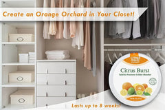 Citrus Magic For Closets Odor Absorbing Solid Air Freshener, Citrus Burst, 8 oz
