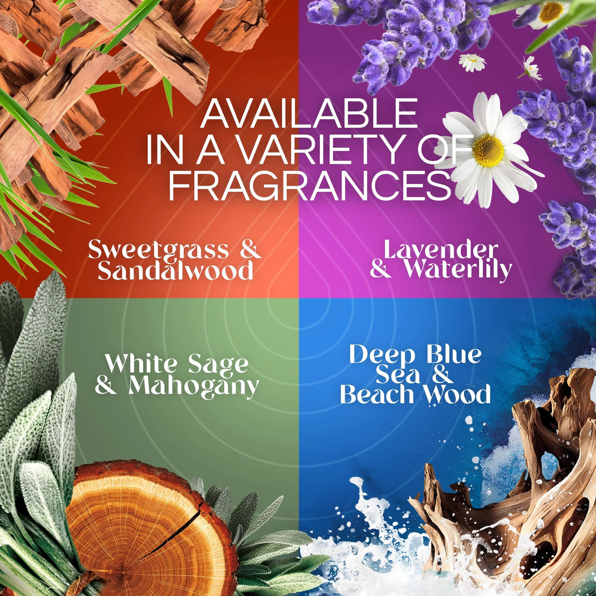 Air Wick Vibrant Plug-In Scented Oil Air Freshener Warmer Refills, Sweet Hibiscus and Magnolia, 5 Count