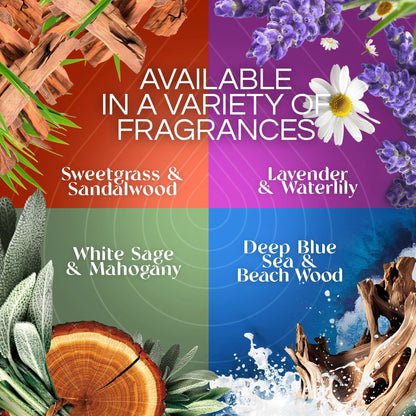 Air Wick Vibrant Plug-In Scented Oil Air Freshener Warmer Refills, Deep Blue Sea and Beach Wood, 5 Count