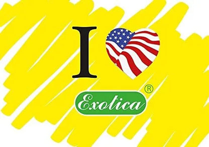 Exotica Car Air Freshener | Spill-proof Can | Organic | For Home & Auto | Long Lasting Freshness | (Pack of 12) (Cherry)