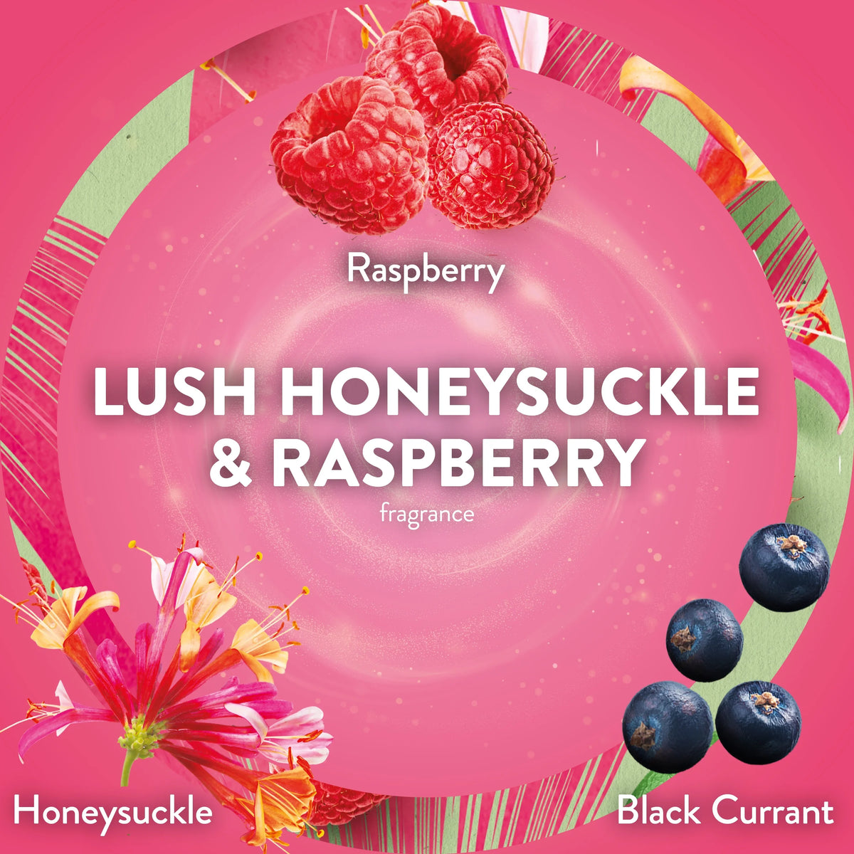 Air Wick Essential Mist Scented Oil Air Freshener Diffuser Refills, Lush Honeysuckle and Raspberry, 2 Count