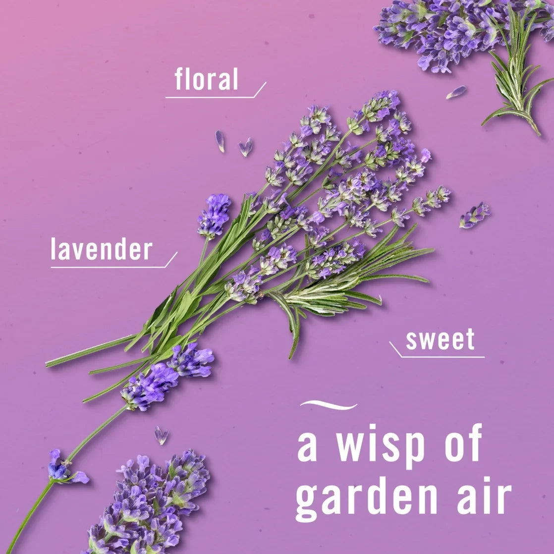 Febreze Plug In Air Freshener, Odor-Fighting Scented Oil Refill, Twilight Lavender Scent, 3 Refills