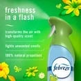 Febreze Air Effects Air Freshener Spray – Gain Original + Heavy Duty (4 Count, 35.2 oz)-2pk, With Paper Towel By OMA