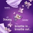 Febreze Air Effects Air Freshener Spray – Mixed Scent (4 ct., 35.2 oz.)-3pk, With Paper Towel By OMA