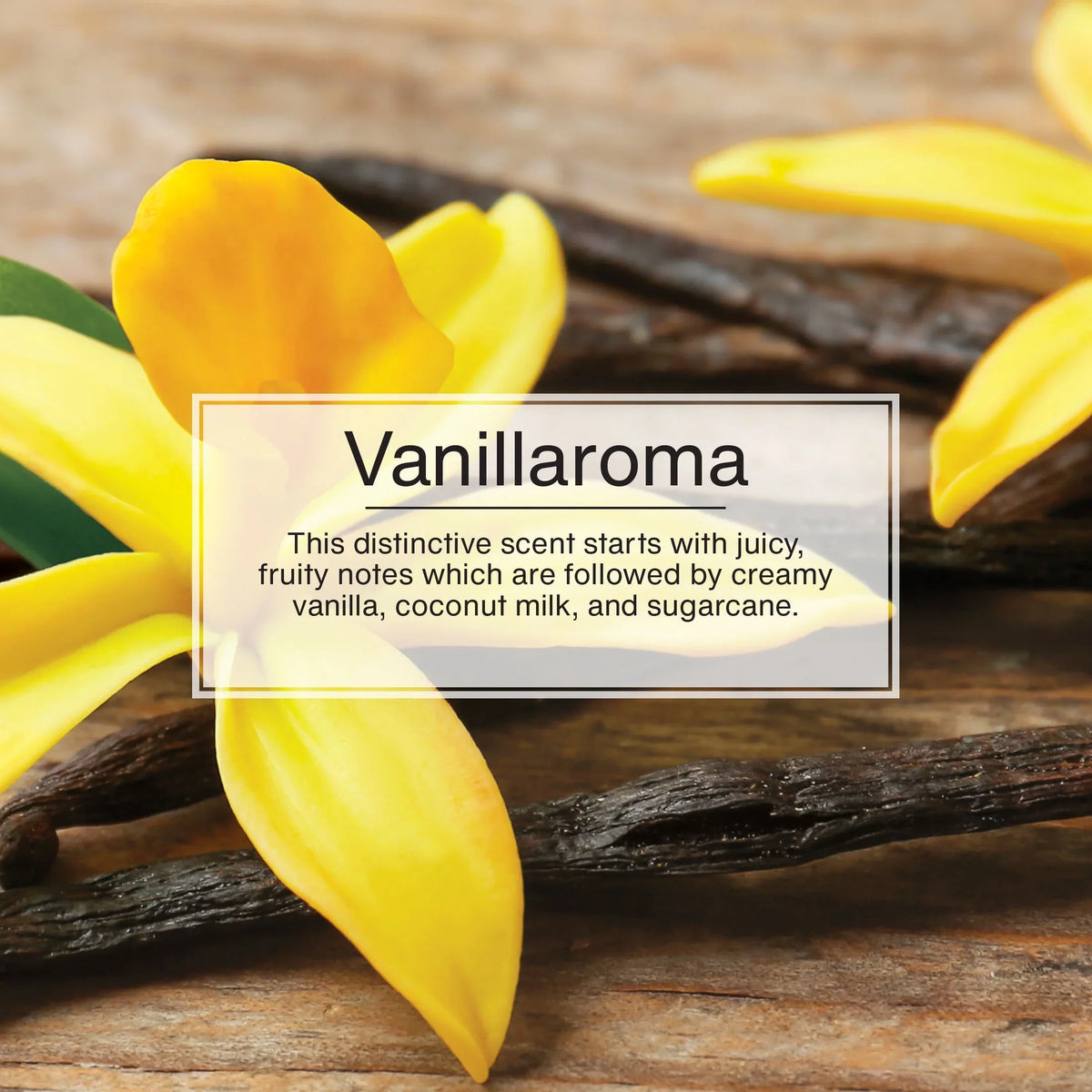 Little Trees Air Freshener Vent Wrap Vanillaroma Fragrance 4-Pack