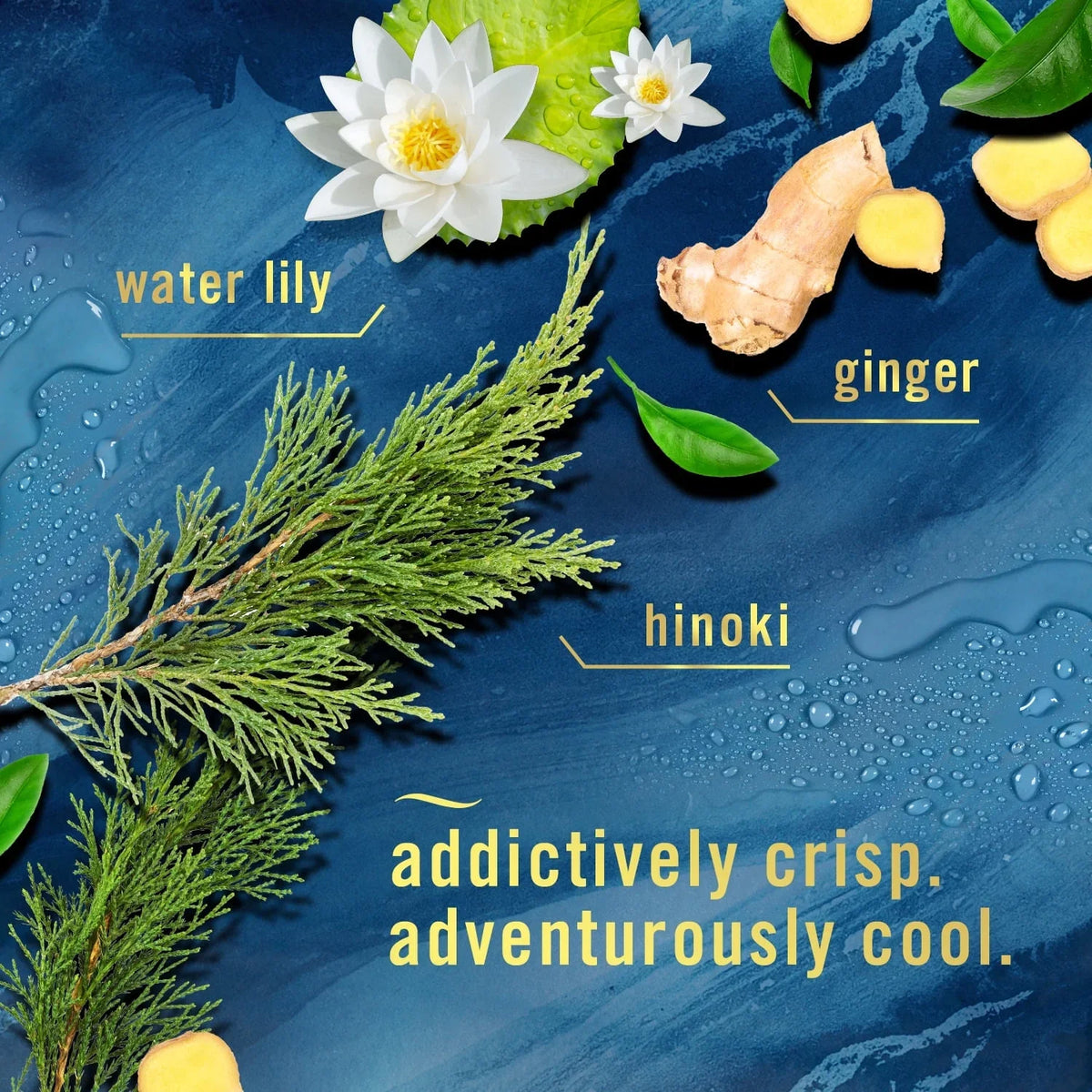Febreze Plug In Air Freshener, Odor-Fighting Scented Oil Starter Kit, Ocean Scent, Warmer + 1 Refill