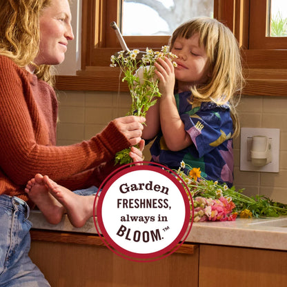 Mrs. Meyer's Clean Day Premium Scented Oil Plug-In, Diffuser & Air Freshener