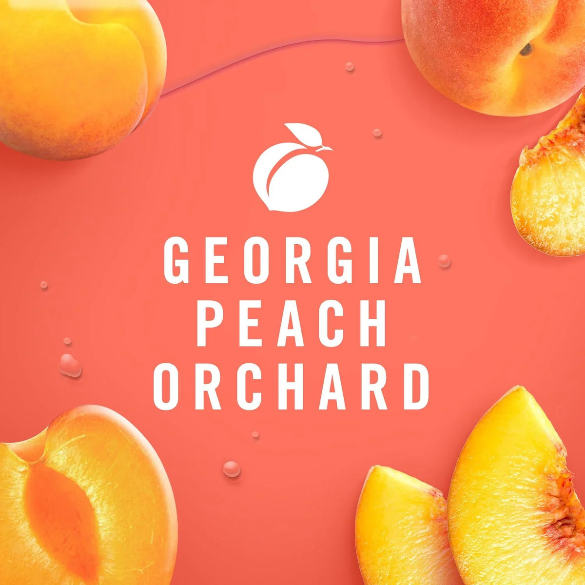 Febreze Plug Dual Refill Air Freshener Georgia Peach Orchard 2ct