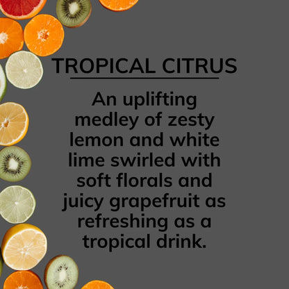 Citrus Magic On the Go Air Freshener Spray for Auto, Tropical Citrus, 8-Ounce