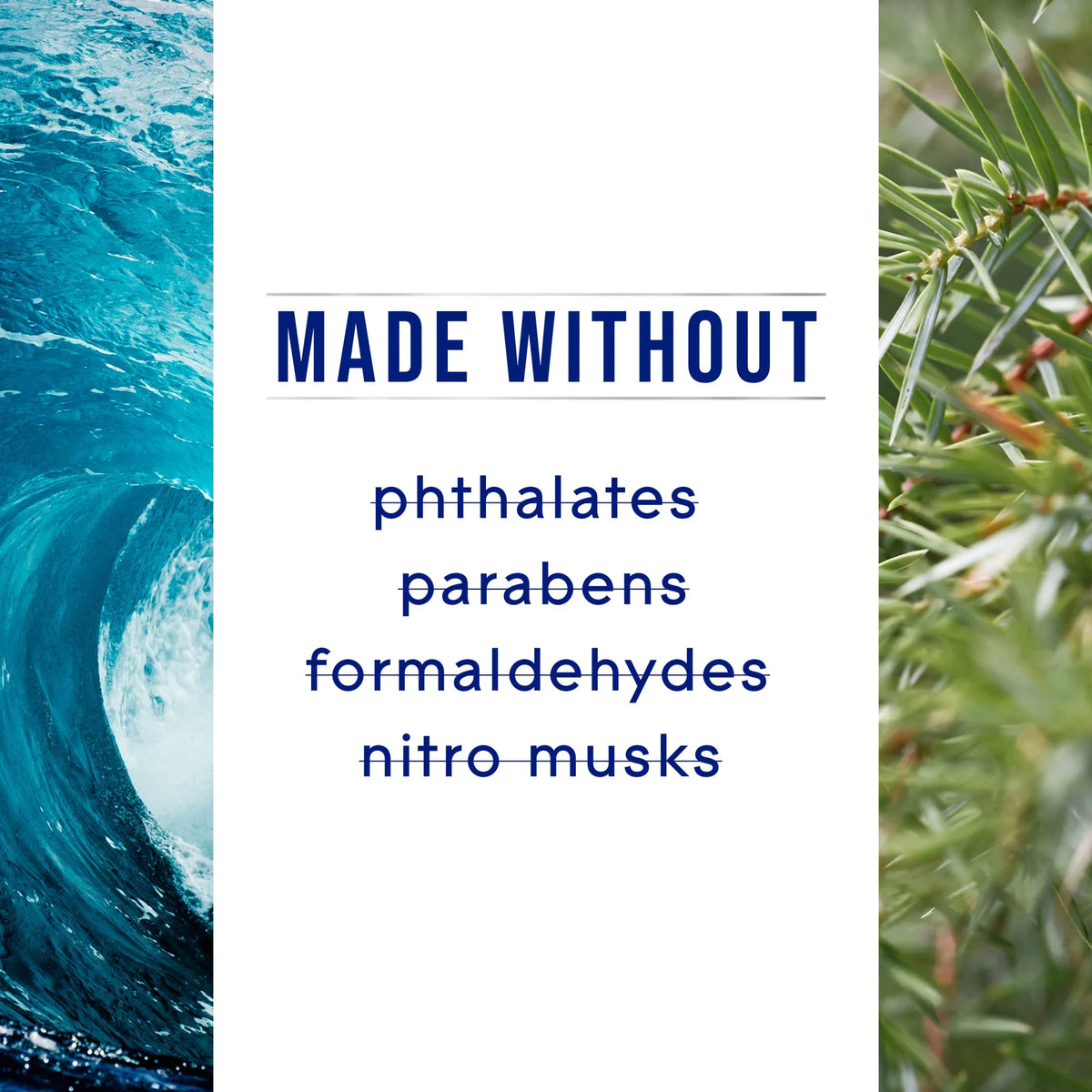 Glade PlugIns Scented Oils Air Freshener Refills, Sea Mist & Cypress, Fresh Collection, 0.67 fl oz Each, 5 Refills