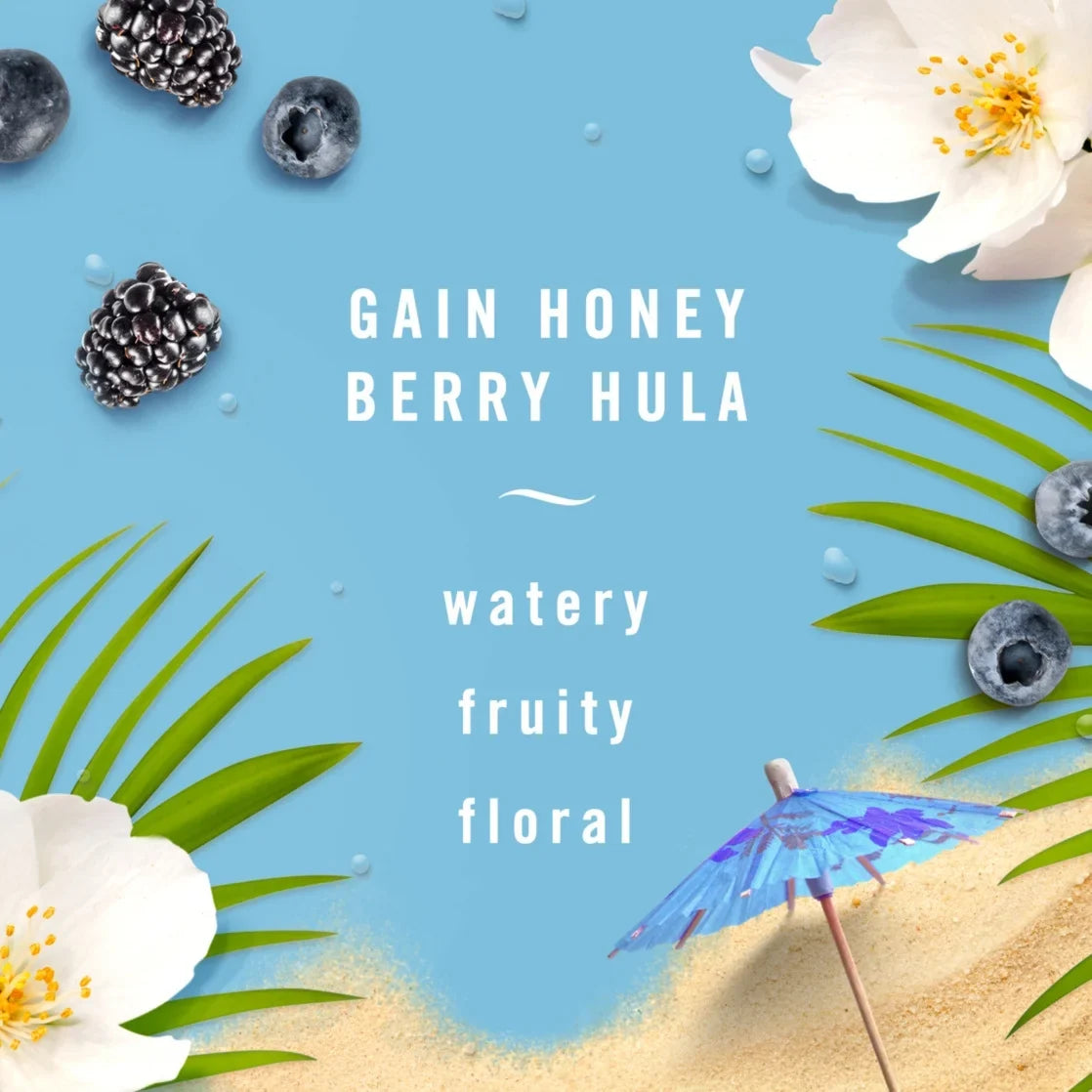 Febreze BATH Air Freshener Gain Honey Berry Hula, 2 count