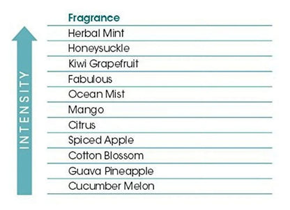 Fresh Products Easy Fresh 2.0 Room Air Freshener Cover Refill - Herbal Mint