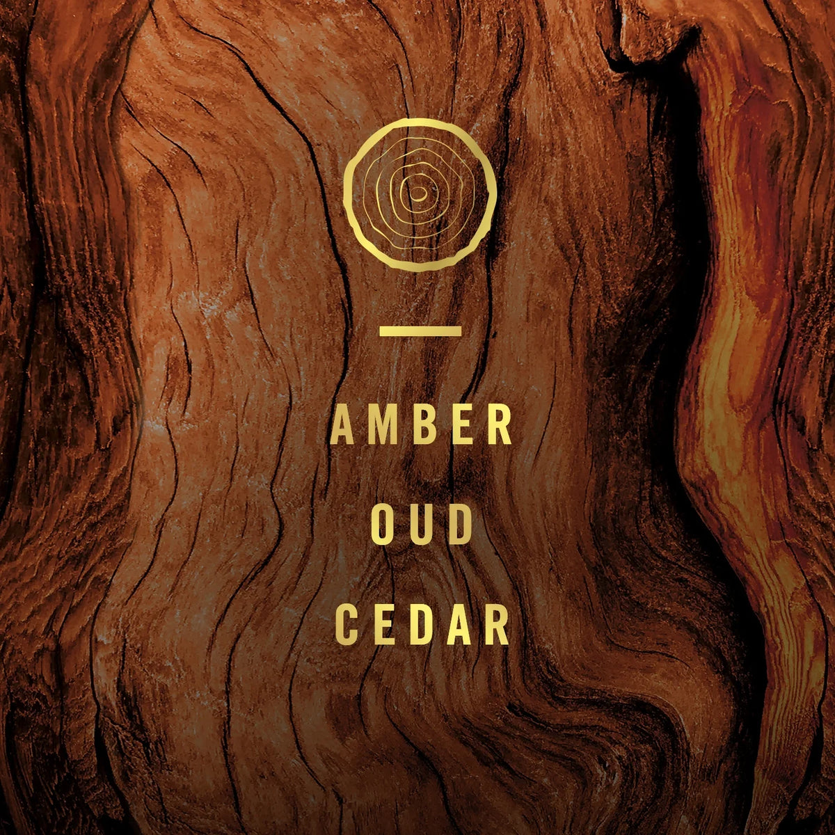 Febreze Origins Fade Defy PLUG Air Freshener & Odor Fighter, Wood, (1) .87 oz Oil Refill
