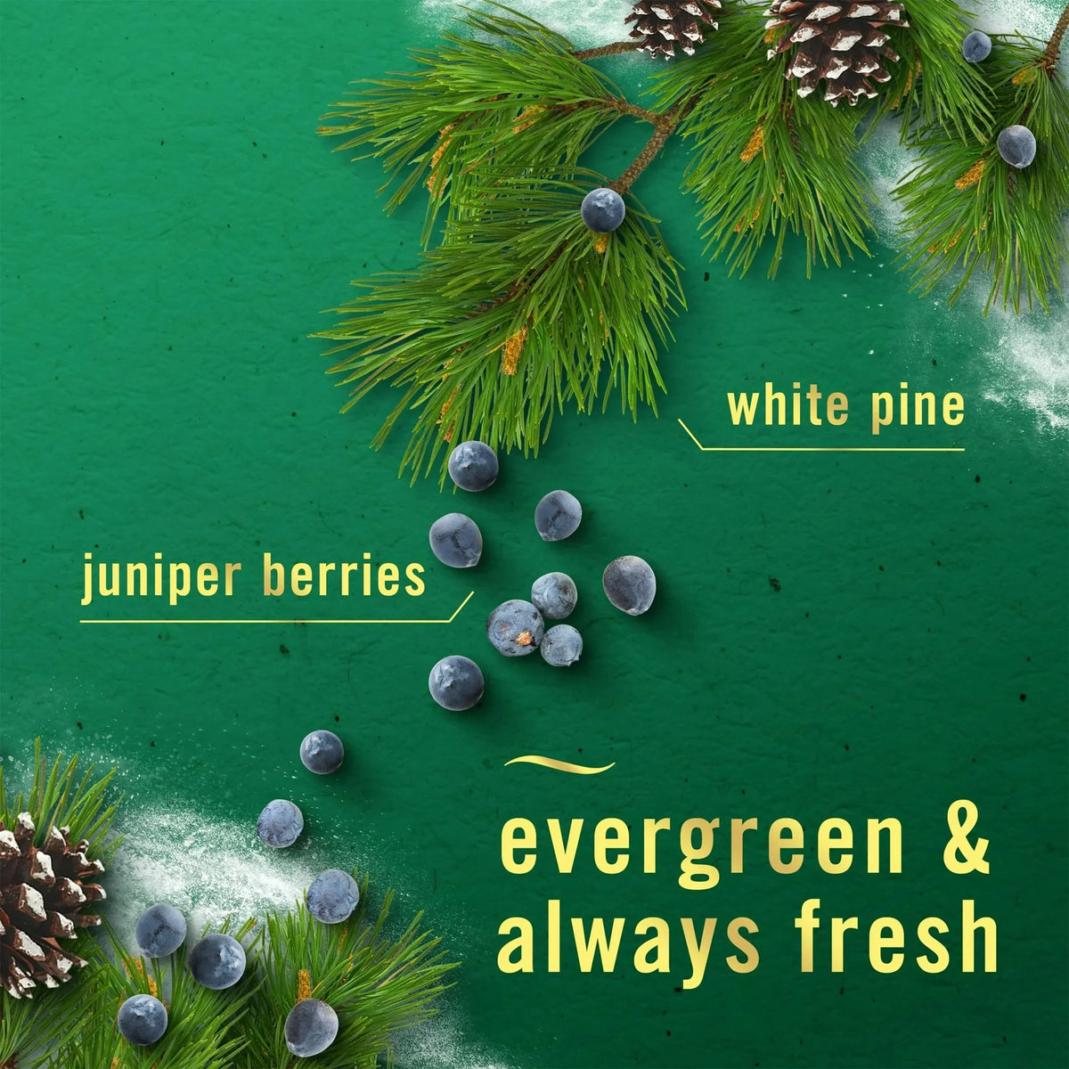 Febreze Air Freshener Winter Spruce, 2 Pack, Christmas Tree Pine Scent, Odor Eliminating Air Freshener Spray for Home and Bathroom, Limited Edition Holiday Collection, 8.8 oz Each