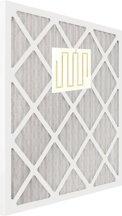 The WEB FilterFresh Whole Home Gardenia Air Freshener. Filter scent attaches to any HVAC air filter.