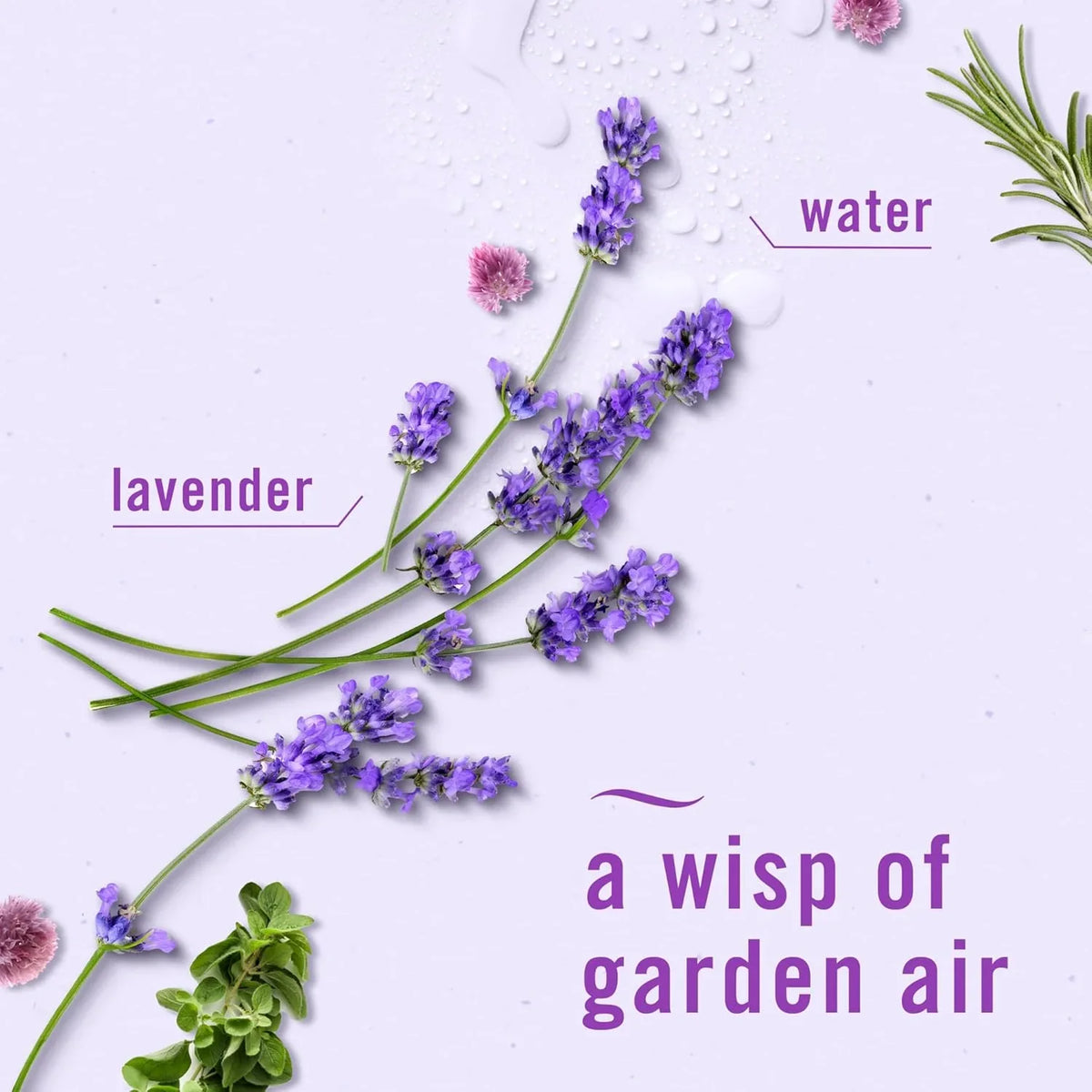 Febreze Air Mist Air Freshener Spray, Odor-Fighting Room Spray, Air Fresheners for Home and Bathroom and Kitchen, Aerosol Can, Light Lavender Scent, 8.8oz, 6 Count, Pack of 3