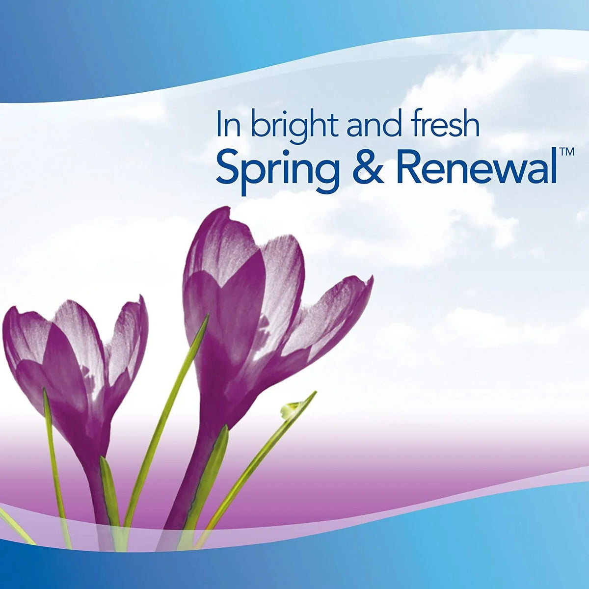 Febreze Spring & Renewal Fabric Refresher