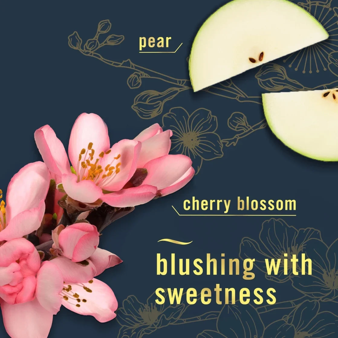 Febreze Air Freshener Spray, Odor-Fighting Room Spray, Japanese Cherry Blossom Scent, 8.8oz, 1 Count