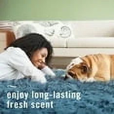 2 Pack Febreze Fabric Pet Odor Fighter Fabric Refresher - Fresh Scent