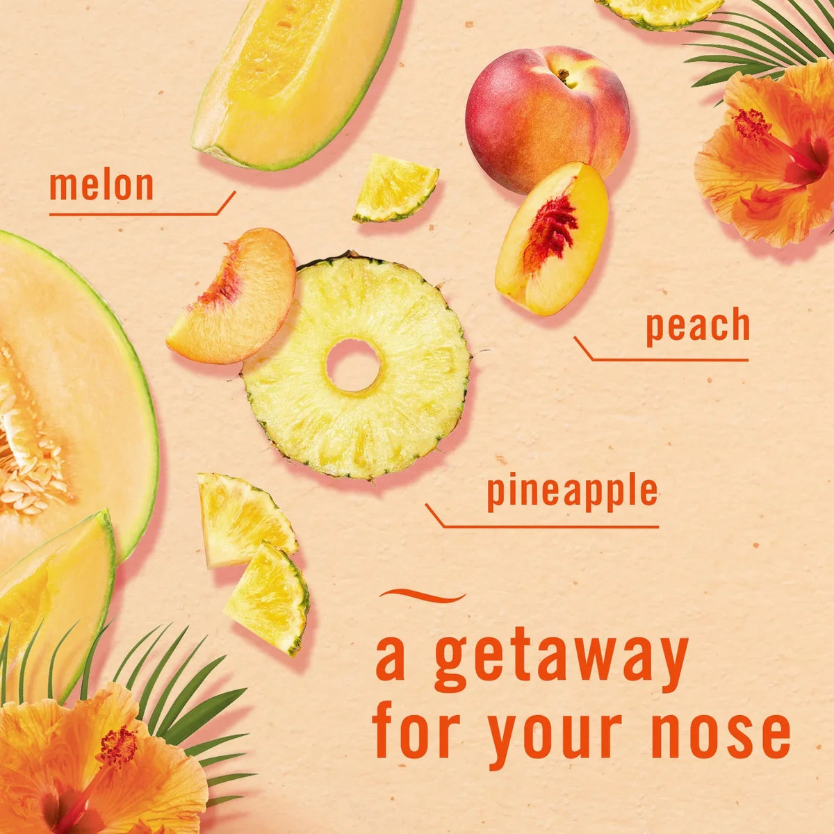 Febreze Plug In Air Freshener, Odor-Fighting Scented Oil Refill, Hawaiian Aloha, 2 Refills