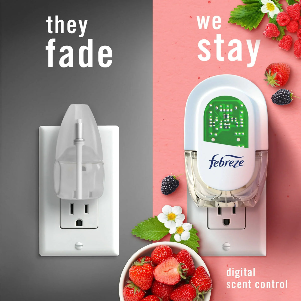 Febreze Plug In Air Freshener, Odor-Fighting Scented Oil Refill, Berry & Bramble, 2 Refills