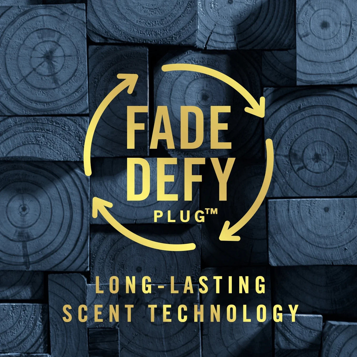 Febreze Origins Fade Defy PLUG Air Freshener & Odor Eliminator, Forest (2) .87 fl. oz. Oil Refills