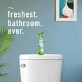 Febreze Air Effects Air Freshener Spray – Gain Original + Heavy Duty (4 Count, 35.2 oz)-With Paper Towel By OMA