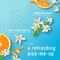 Febreze Air Effects Air Freshener Spray – Mixed Scent (4 ct., 35.2 oz.)-With Paper Towel By OMA