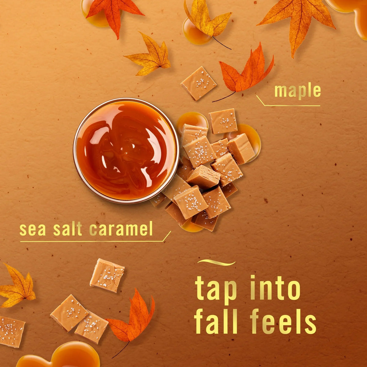 Febreze Plug Refill Odor-Fighting Air Freshener Sea Salt Caramel & Maple Scent, 3 Ct 0.87 fl oz Each