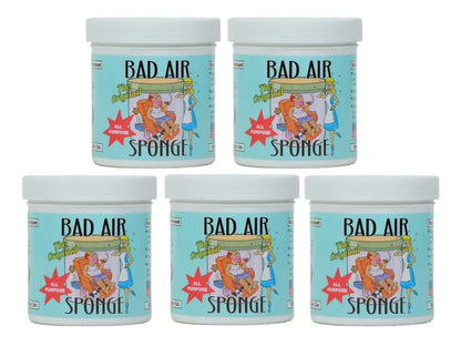 Original Bad Air Sponge Odor Absorber and Neutralizer, 14 oz, Pack of 5