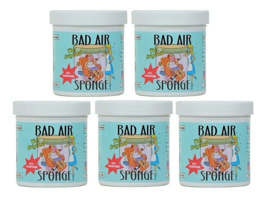 Original Bad Air Sponge Odor Absorber and Neutralizer, 14 oz, Pack of 5